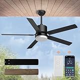 Sky sea Ceiling Fan with Light: Low Profile Black Ceiling Fan with Light and Remote/APP Control Reversible Dimmable Flush Mount Modern for Bedroom Livingroom Indoor Outdoor Patio 52 Inch