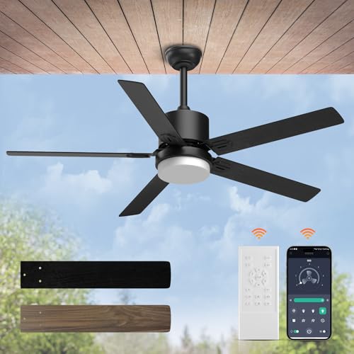 Sky sea Ceiling Fan with Light: Low Profile Black Ceiling Fan with Light and Remote/APP Control Reversible Dimmable Flush Mount Modern for Bedroom Livingroom Indoor Outdoor Patio 52 Inch