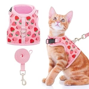 BINGPET Cat Harness with Leash Escape Proof – Fashionable Mesh Cat Dog Walking Harness Leads, Adjustable for Kitties Puppies Small Animals