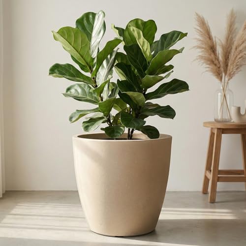 Image of Eha Earth Friendly Deco Big Planters for Home Decor | 18 inch, Pack of 1 | Heavy Duty Plant Pot Made with Rice Husk & Bamboo Biocomposite | UV Protected Pot for Plant | Pots & Planters Big Size