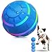 Petbobi Active Rolling Ball for Dogs Interactive Dog Ball with LED Flash Light, Include Self Moving Toys for Medium and Large Dogs to Chase and Self Play, USB Rechargeable