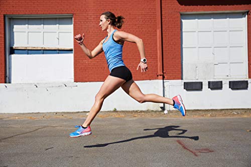 Swiftwick - PERFORMANCE No Show (3 Pairs) Running & Golf Socks, Cushioned No-Show4