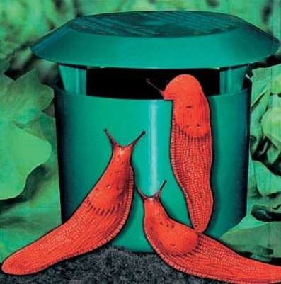 Preisvergleich Produktbild Schneckenfalle