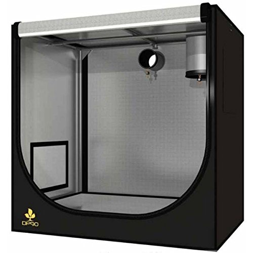 Dark Propagator 90X60x60cm