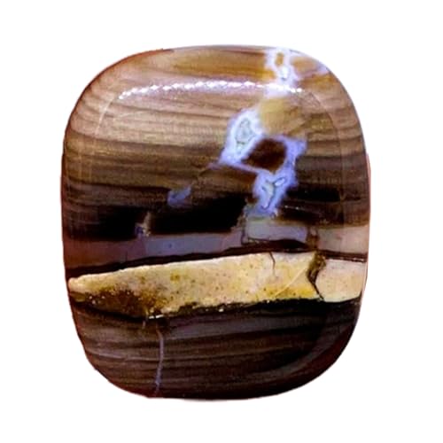 Fossile naturel cabochon pierre gemme en vrac 23x19x4mm pour fabrication bijoux bague pendentif