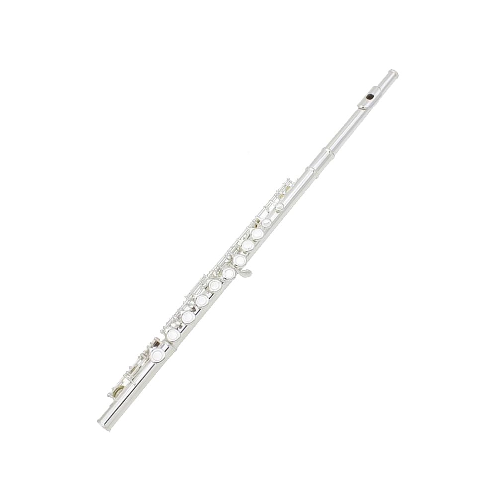 HCZKIUJY 16 Hole Flute C Key Multicolor Flute, Nickel Plated Closed Keys/Plus E Key, Professional Brass Instrument Flute,J (H)
