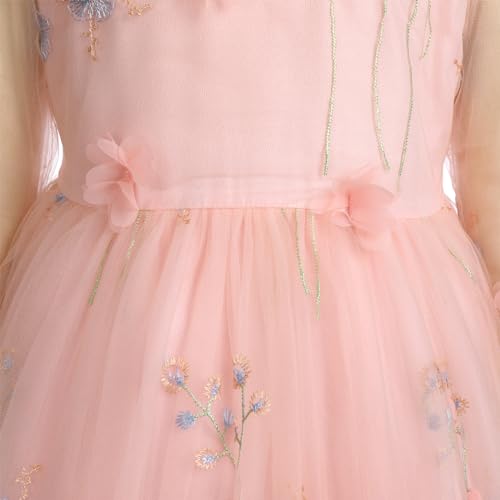 Flower Girls Princess Dress Embroidered Pageant Wedding Birthday Formal Party Tulle Tutu Dress Kids Ball Gown4
