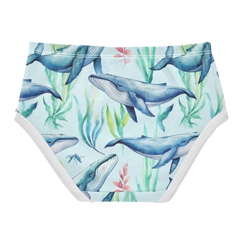 Joisal Toddlers Underwear Floral 2t Cotton Cute Panties Girl Stylish Briefs Undies Kids Blue Whales Cartoon2