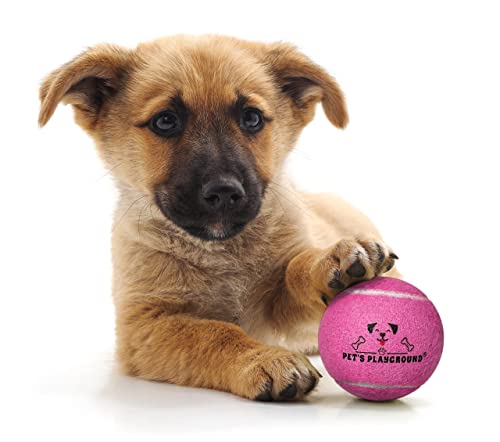 Pet's Playground Palline da tennis per cani | Confezione da 12 palline da tennis per cani rosa | Palla per cuccioli | Palline per cani di piccola taglia Palline da tennis grandi per cani