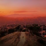 Let's Fall In Love For The Night [Explicit]