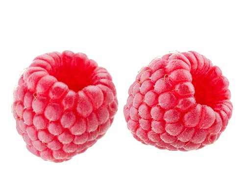 Himbeere Rubus idaeus ‘Ottawa’ 60–70 cm – Herbst-Himbeere im Topf, winterhart, aromatische Früchte, ertragreich, ideal für Garten & Balkon