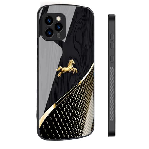 Coque anti-espion magnétique en verre trempé double-face pour iPhone 12 Pro Max noir