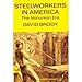 Steelworkers in America: The Non-Union Era