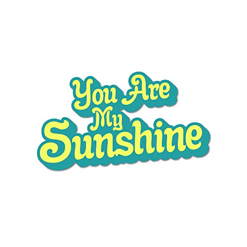 Image of Bhai Please You are My Sunshine Text Theme Fridge Magnet - Couple Gift