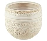  Dehner Blumentopf Rustika, Ø 20 cm, Höhe 18 cm, Keramik, Creme