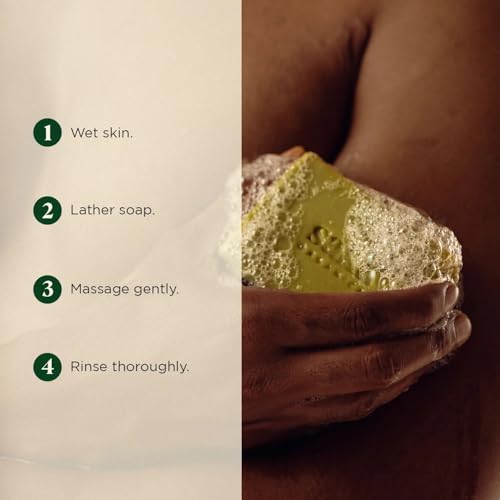 Image of Saka Organics Eucalyptus & Camphor Bath Soap with Shea Butter, Pack of 2 (120g Each) | Handmade Cold-Processed Soap | Deep Cleansing, Purifying & Refreshing | Sulphate & Paraben Free