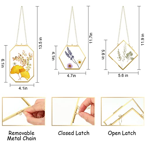 6 Packs Glass Frames For Pressed Flowers Double Glass Golden Hanging Picture Frames With Chain 3 Sizes Diy Frame Floating Photo Hanging Frame Artwork Display Frame For Wall Gallery Art Decor #TOP1