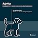 VetOne Advita Probiotic Nutritional Supplement for Dogs - 30 Packets