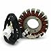 Motorcycle Generator Stator Coil Compatible With Automotive Motorcycle Parts GN250 1982 2001 TU250 1997 2016 For Part Number 32101-38302