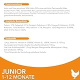 IAMS Junior Katzenfutter trocken mit Huhn - Trockenfutter für Kitten im Alter von 1-12 Monaten, 10 kg