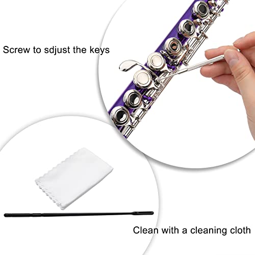 Ktaxon C Closed Hole Flute 16 Keys Flutes Kit For Students, Professionals & Beginner, Orchestra Musical Nickel Flute With Hard Case, Cleaning Rod, Cloth, Gloves (Purple) #TOP5