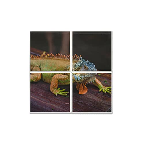 Carreaux céramique iguane vert déco murale faune exotique lot 4 pièces 40x40cm