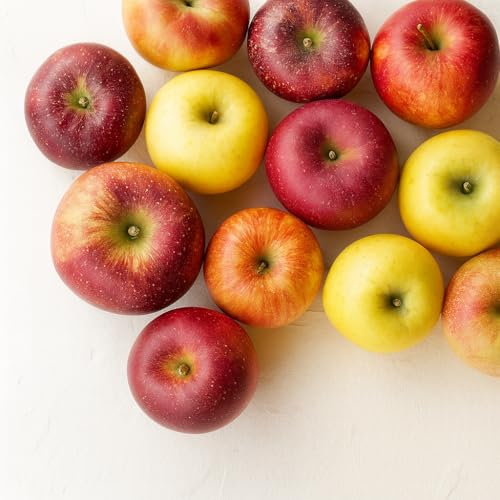 訳あり りんご シナノゴールド」の人気商品一覧 | 安い商品を通販