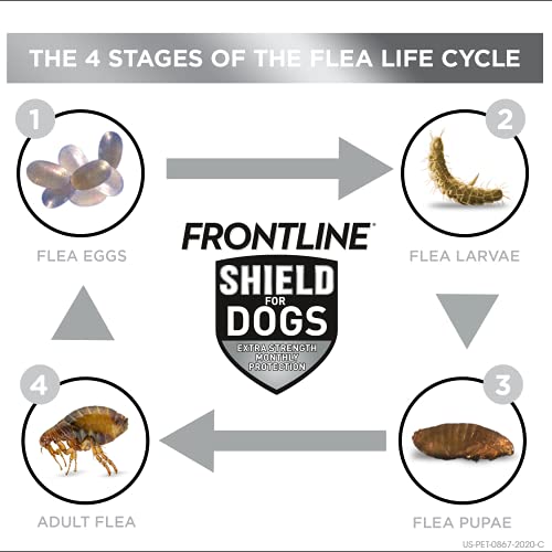 FRONTLINE Shield for Dogs 3-in-1 Flea and Tick Treatment (Large Dog, 41-80 lbs.) 3 Doses (Purple Box) - Image 4