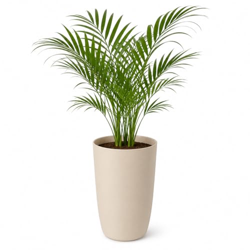 Image of Leafy Tales Modern Round Tower Planter for Home Decor 14 INCH, Highly Durable,Lightweight Indoor Outdoor Planter, Flower Pot Gamla, Pot for Balcony Garden, Vegetables, Flowers & Greenery