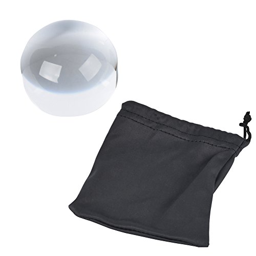 Dandelion 6X Dome/Paperweight Magnifier W/Pouch Table Magnifying #TOP4