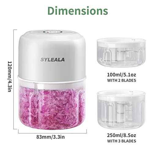 Syleala Electric Garlic Chopper, Rechargeable Mini Portable Veggie Chopper, 100 +250Ml White Mini Food Processor,Wireless Food Chopper For Ginger, Vegetables, Onions, Chili, Fruit, Meat, Etc. #TOP1