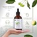 HBNO California Bottled Organic Tamanu Oil 4 oz (120ml) Value Size - USDA Certified Organic Tamanu Oil, Cold Pressed Carrier Oil for Face, Body, Lips, Nails, Shampoo & Conditioner