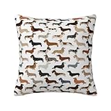 Teckels à Poil Dur Lisse et à Poil Long Chiens Animaux de Compagnie, Housse de Coussin décorative en Polyester, Douce et Confortable 55x55cm