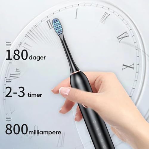 Elektrische Zahnbürste - Wiederaufladbare Zahnbürsten mit 8 Ersatzbürstenköpfen | 40000 VPM Hochfrequenz 6 Modi Deep Clean Elektrische Zahnbürste | Akku Zahnbürsten für Erwachsene – Bild 7