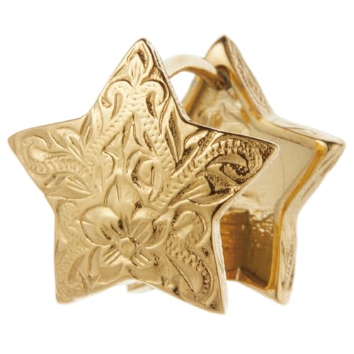 Piena t[vsAX fB[X T[WJXeX316L nCAWG[ Ўp 1 X^[ vA XN[ S[h(Ўp)