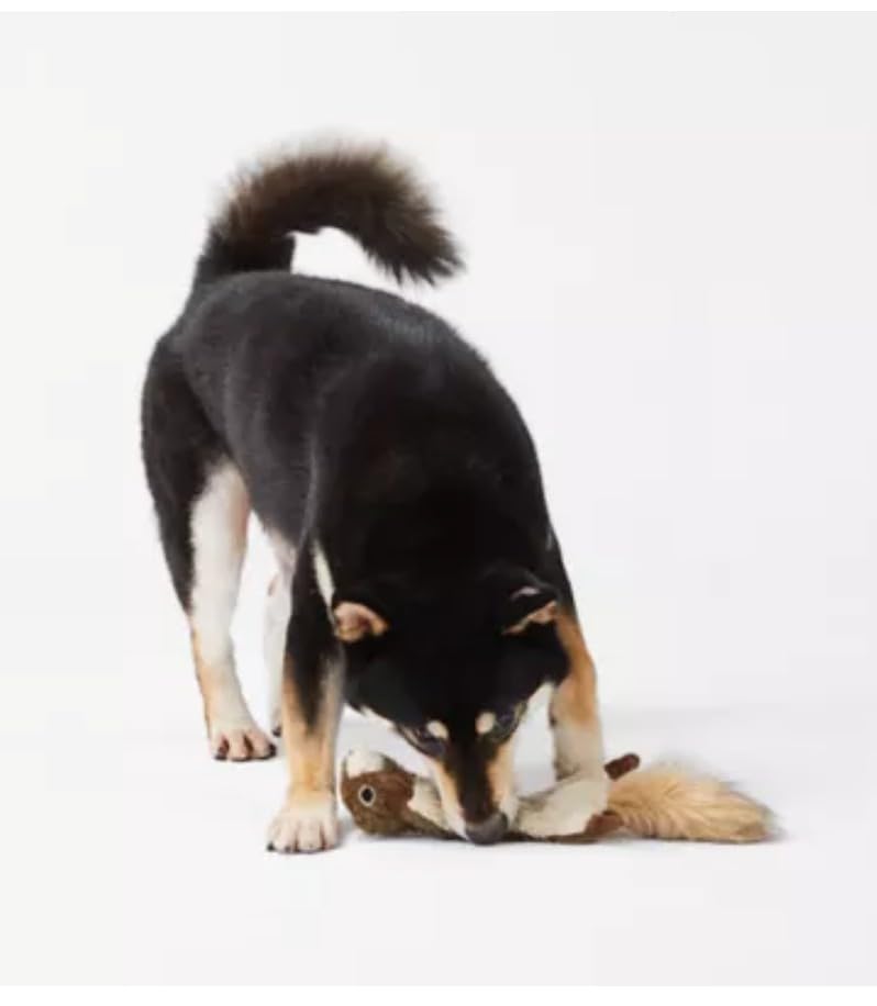 Juguete para Perro Realista Ardilla Joyhound miniatura 3