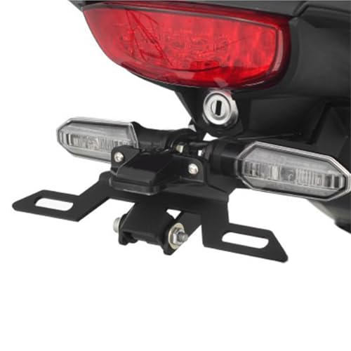 Support de plaque pour CB300R support moto robuste avec éclairage LED - 2