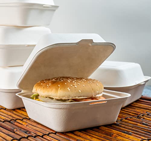 [Pack of 100] Green Wave Evolution TW-BOO-004 6