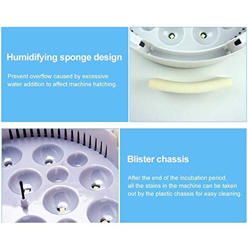 SOBW Brutmaschine Vollautomatisch – Inkubator Hühner 9/12 eir – Brutautomat mit Temperaturregelung, ideal für den… – Bild 6