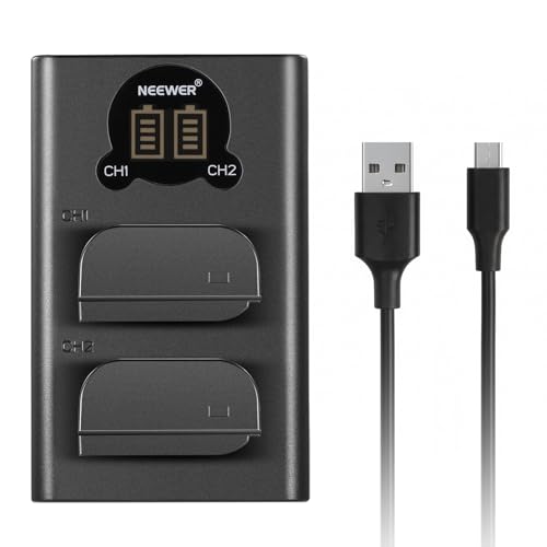 NEEWER Replacement Battery and Charger Set for DMW-BLK22 Compatible with Panasonic Lumix DC-S5 GH5 II S5 II GH6 S5 IIX S9 2 Pack 2400 mAh Batteries and Type C Dual Channel USB Charger