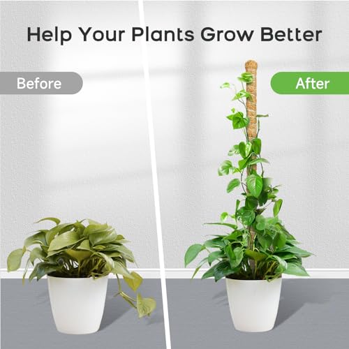 SYCARON Moss Pole, 2PCS 28 Inches Bendable Plant Pole for Support Monstera