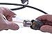 Sterno Home 48-Ft Vintage-Style Waterproof Outdoor LED String Lights – Hanging Edison Bulbs on Black Rubberized Cord – For Backyard, Weddings, Patio, Porch, and more.