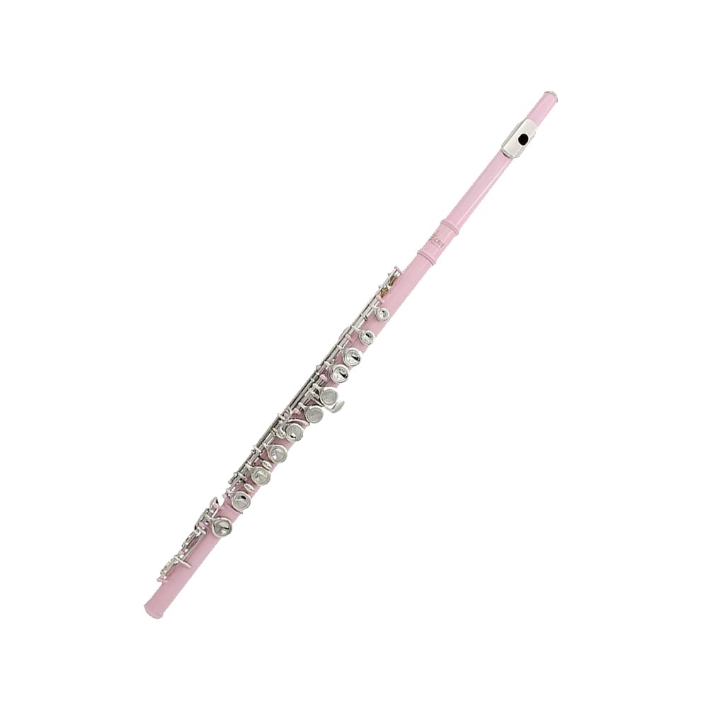 HCZKIUJY 16 Hole Flute C Key Multicolor Flute, Nickel Plated Closed Keys/Plus E Key, Professional Brass Instrument Flute,J (C)