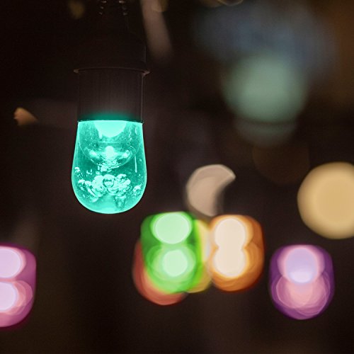 Enbrighten Seasons Café Lights, Outdoor String Lights, Black, 24 Foot Length, 12 Lifetime Bulbs, Color Changing, Weatherproof, Shatterproof, Commercial Grade, 36134 #TOP7