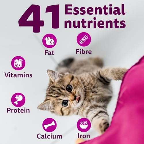 Image of Whiskas Junior Mother Cat & Kitten (2-12 Months) Dry Cat Food, Ocean Fish Flavour, 200g, Contains 41 Essential Nutrients, Complete & Balanced Nutrition for Mother Cats & Kittens