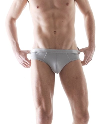 DAVID ARCHY Men's Underwear Micro Modal Soft Comfy Briefs 4 Pack (XL, Light Gray)