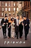 Friends Poster TV Show Promo 11 x 17 inches Street