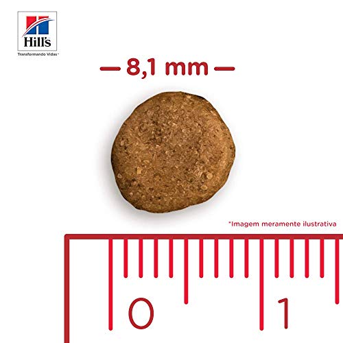 Ração Hill's Science Diet para Cães Filhotes - Pedaços Pequenos - 3kg