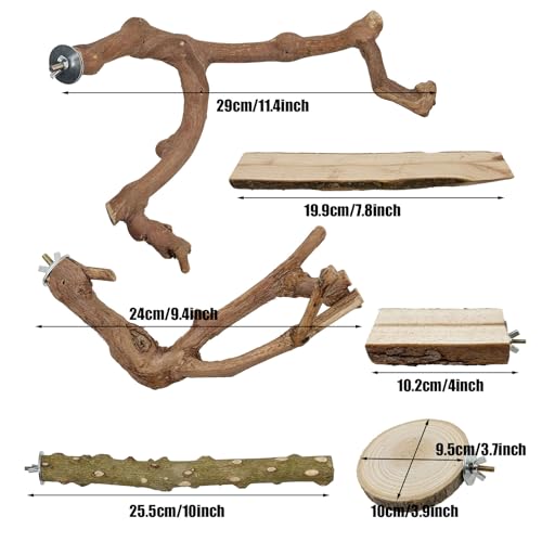 Image of Woohome Natural Wooden Perch Bird Stand Parrot Perch Stand, Natural Wood Platform Bird Climbing Standing Branches Toy for Small Lovebirds Budgies Cockatiels