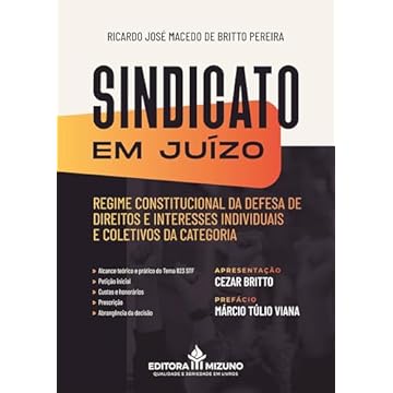 Capa do livro Sindicato em Juízo